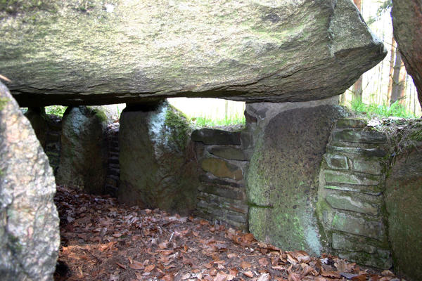 Blick in das H&uuml;hengrab K&uuml;chentannen
