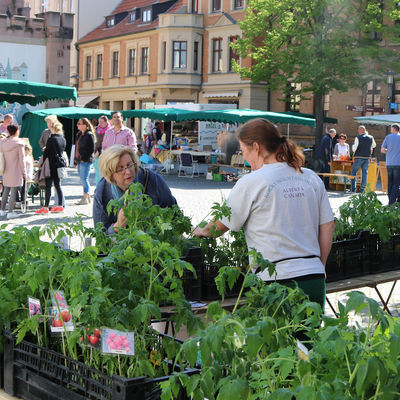 Der Regionalmarkt auf dem Hagentorplatz beim Saisonauftakt im Mai