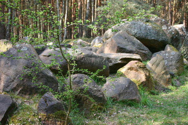 Hünengrab - Kaisergrab