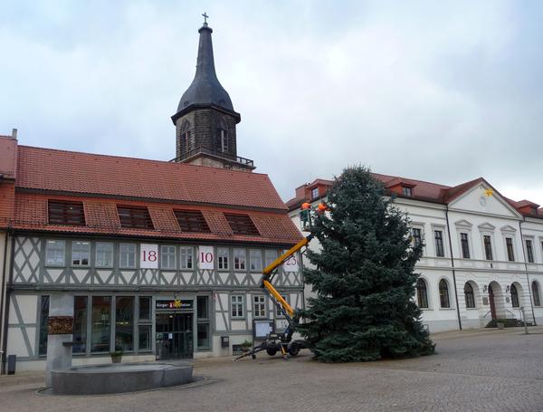 Auch in diesem Jahr soll wieder Weihnachtsbäume im Stadtbild für vorweihnachtliche Stimmung sorgen.