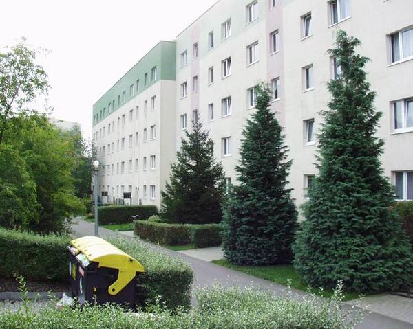 Waldring 32