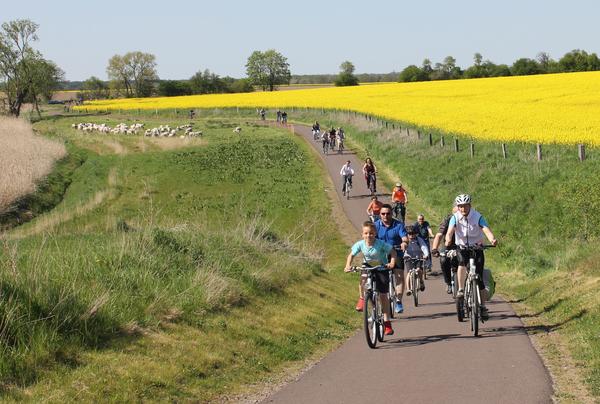 Endspurt auf dem Aller-Elbe-Radweg