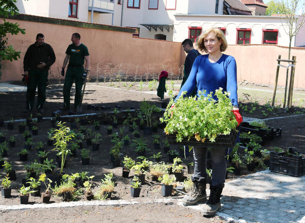 Landschaftsarchitektin Petra Pelz im Mai beim der Bepflanzung des Weißen Gartens mit einer Kiste »Storchschnabel«