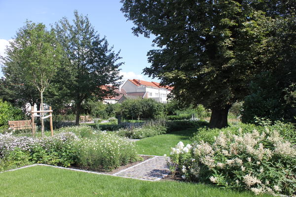 Weißer Garten