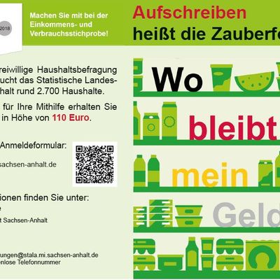 EVS2018_Flyer