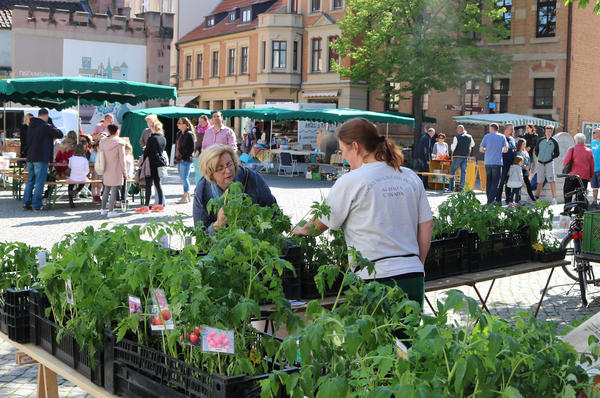 Regionalmarkt auf dem Hagentorplatz