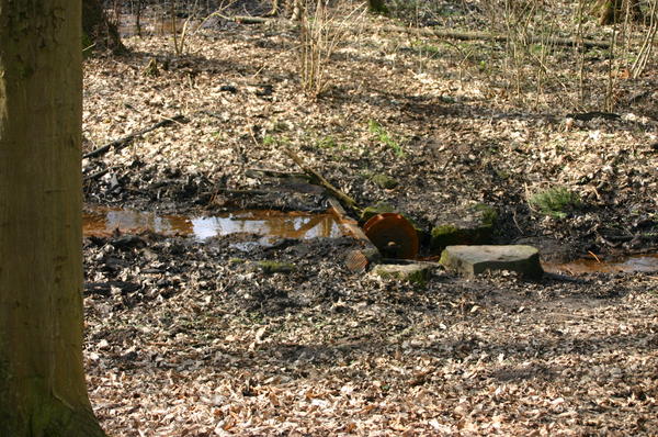 Wasserrad am Nonnensprung