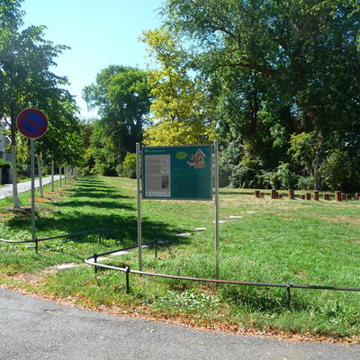 Naturerlebnispfad_Grünes_Klassenzimmer