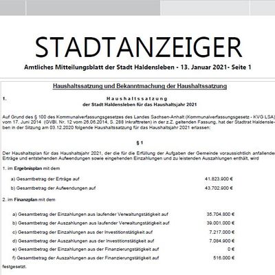 STANZ 01_2021 Titel