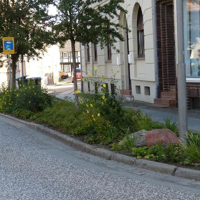 Staudenbeete Magdeburger Strae
