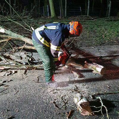 Häufigstes Einsatzmittel: Kettensäge statt Schlauch ....