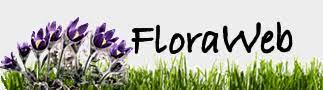 Logo FloraWeb