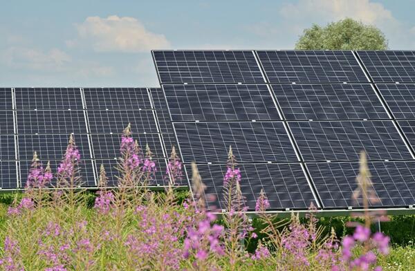 Solarfreiflchenanlage