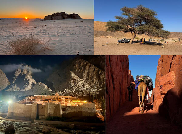 Verein_Sinai_130625