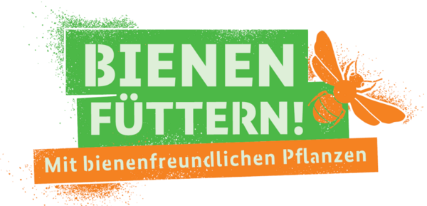 Bienen füttern