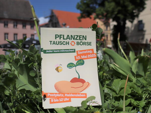 Pflanzentauschboerse Flyer