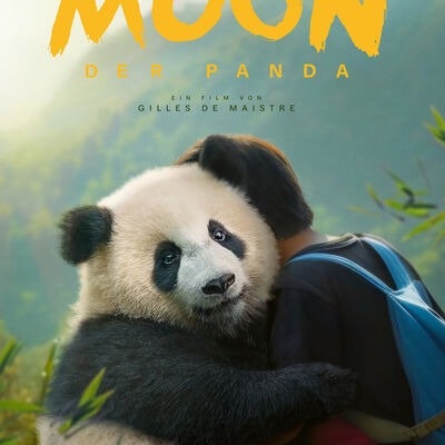 MoonDerPanda_Teaser_Plakat_Final