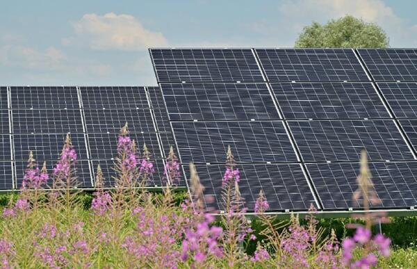Foto Solarpark