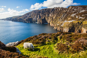 RoNeu_190511_09_26_55_002