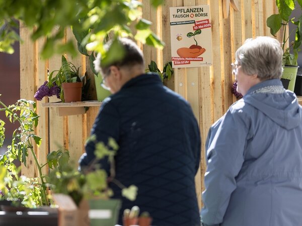 Pflanzentauschb&ouml;rse