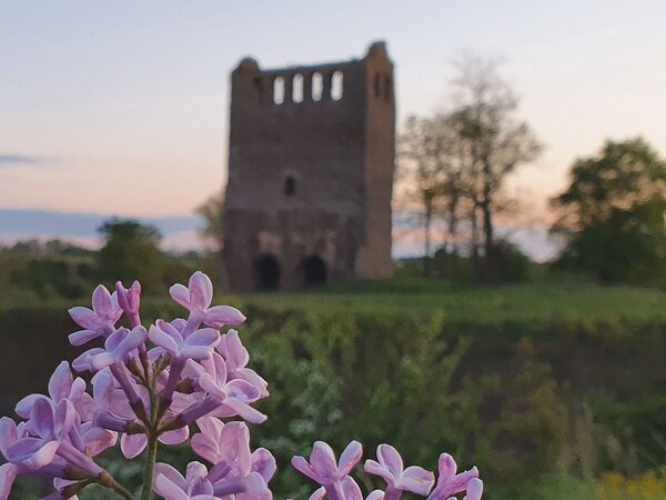 ruine-nordhusen-web