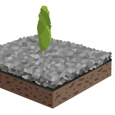 Titelbild_Schottergarten_Klima-Schaubeet