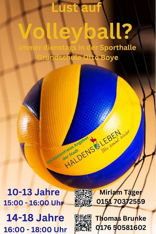 Volleyball Plakat