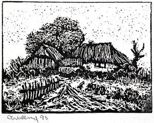Wollny_3186