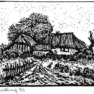 Wollny_3186